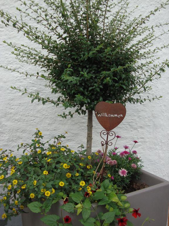 Hotel Weixler Schindelberg *